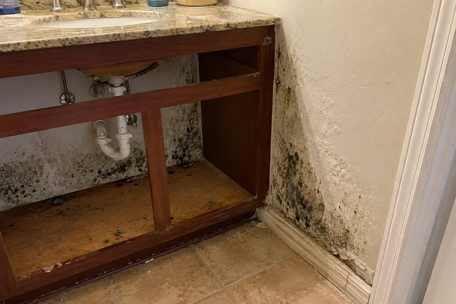 Wall surface with visible mold growth